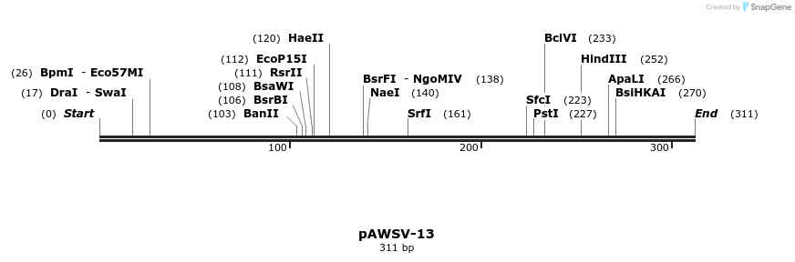 136793_map
