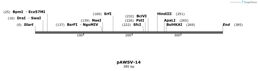 136797_map