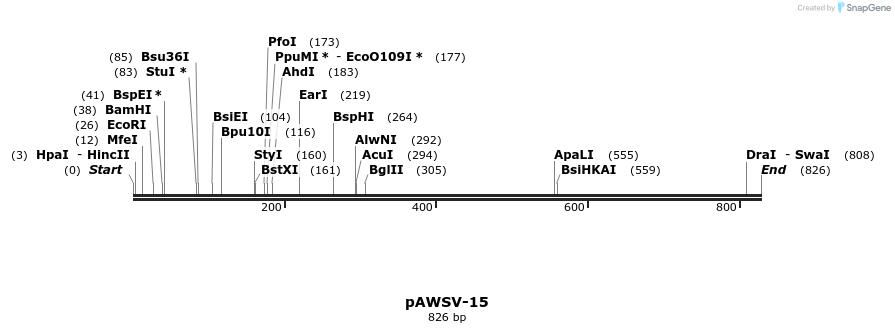 136803_map