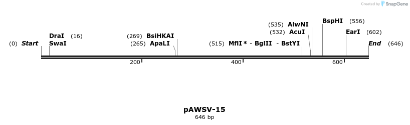 136804_map