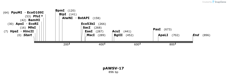136808_map