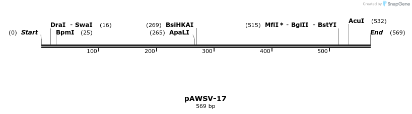 136809_map