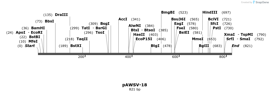 136811_map