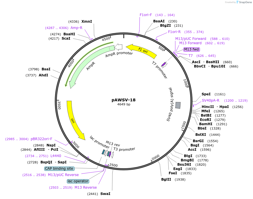 136812_map