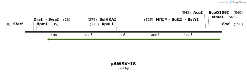 136813_map