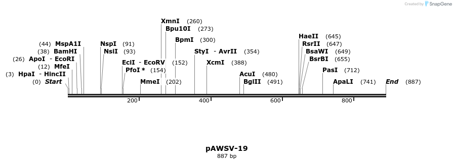 136814_map