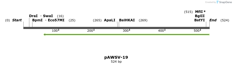 136815_map