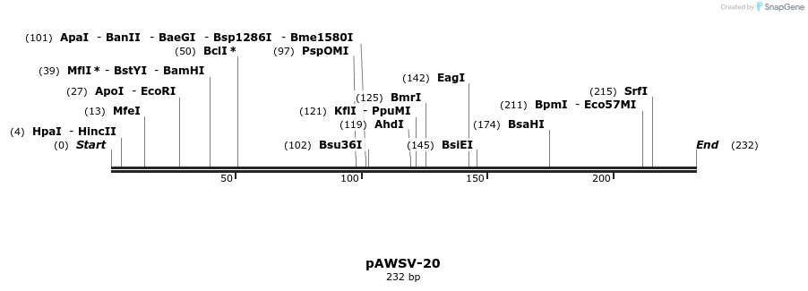 136816_map