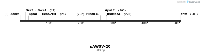 136817_map