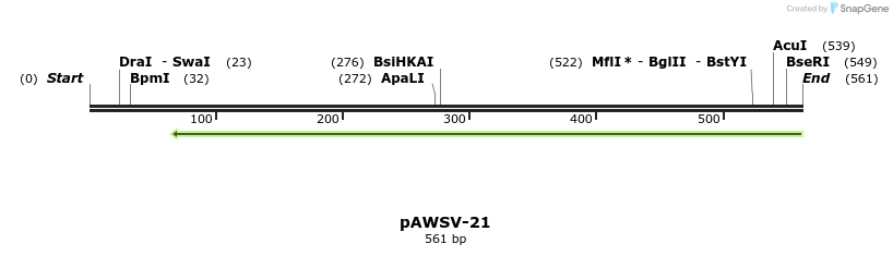 136819_map