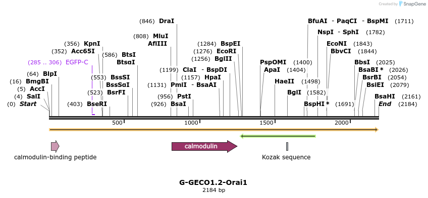 136821_map