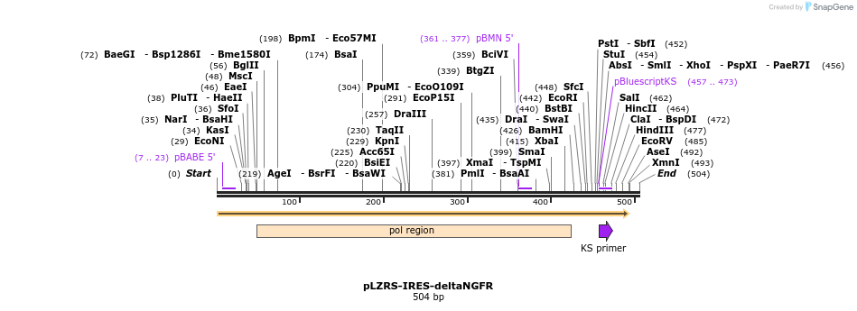 136832_map