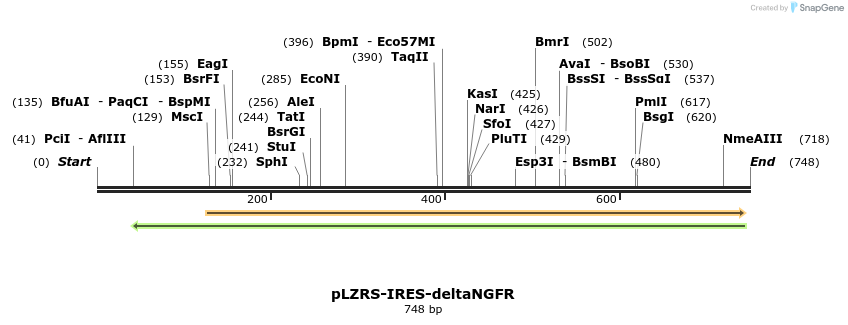 136833_map