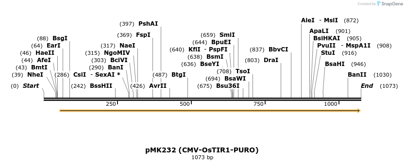 136834_map
