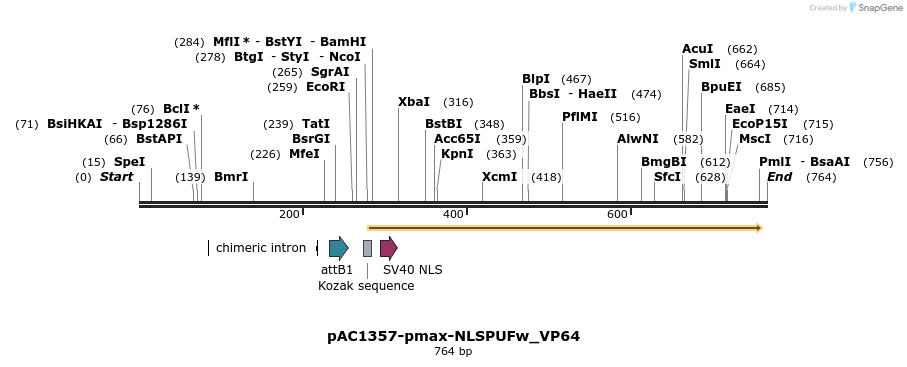 136851_map