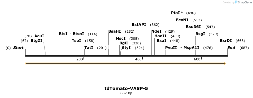 136858_map