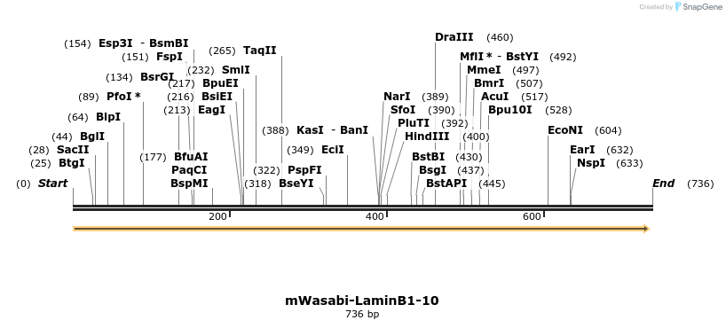 136860_map