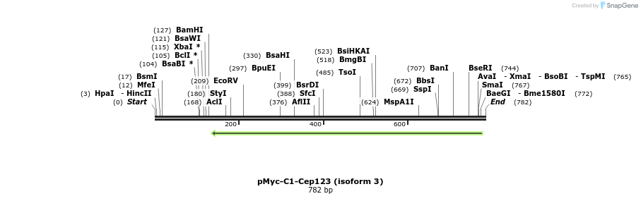 136868_map