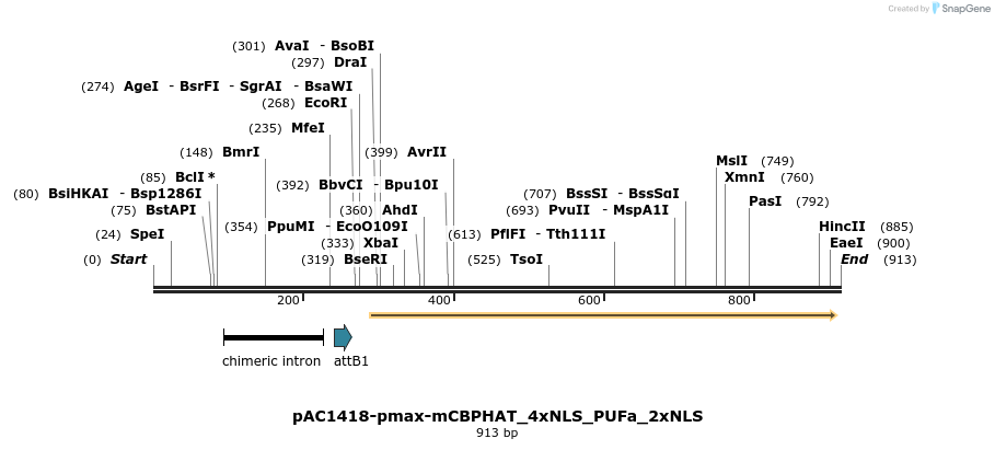 136869_map