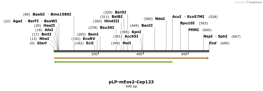 136872_map