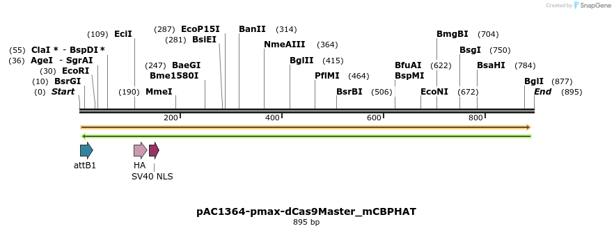 136874_map