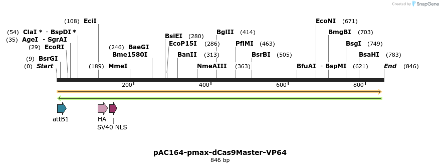 136877_map