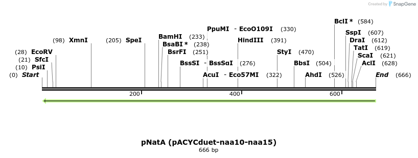 136879_map