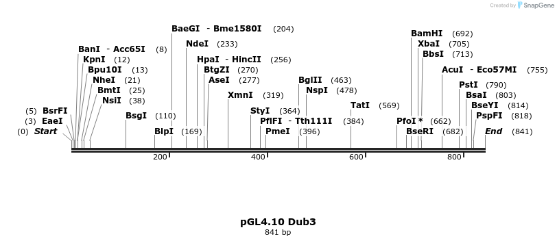136885_map