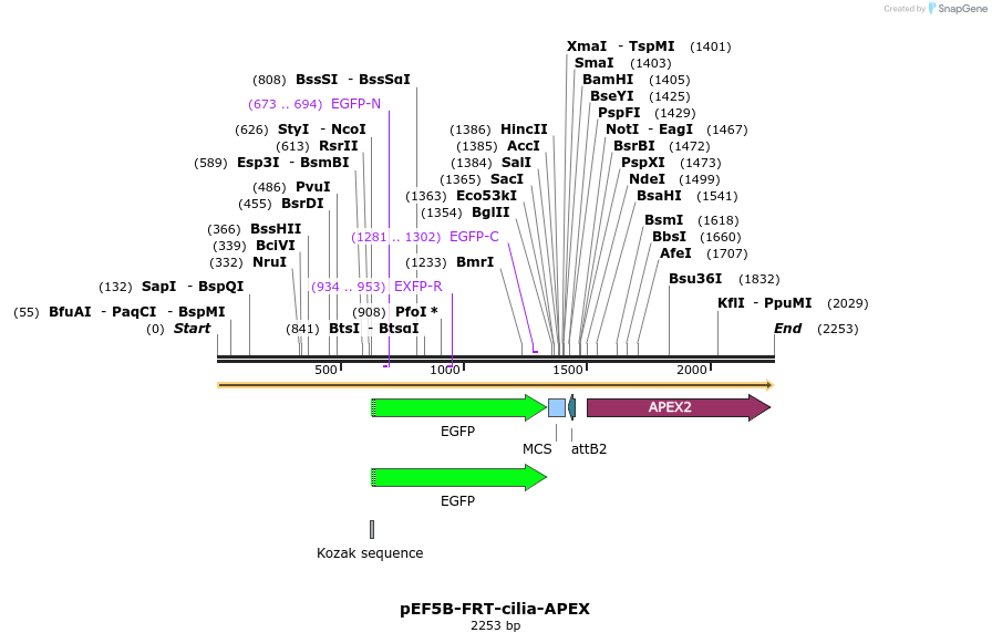 136887_map