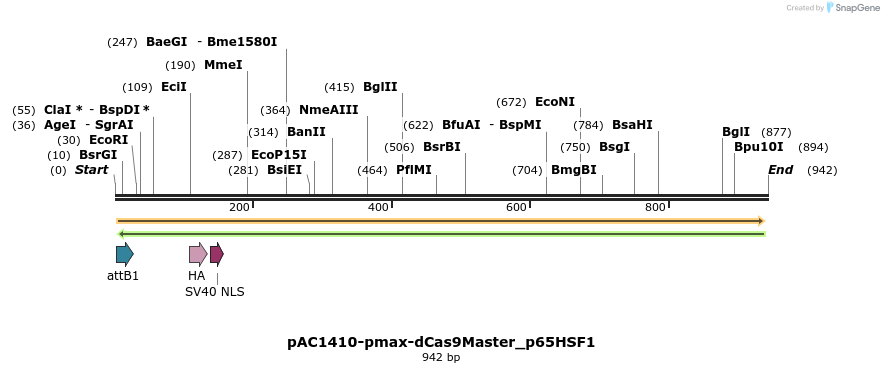 136894_map