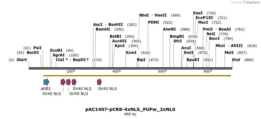 136898_map