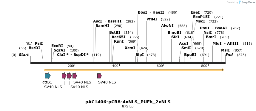 136899_map
