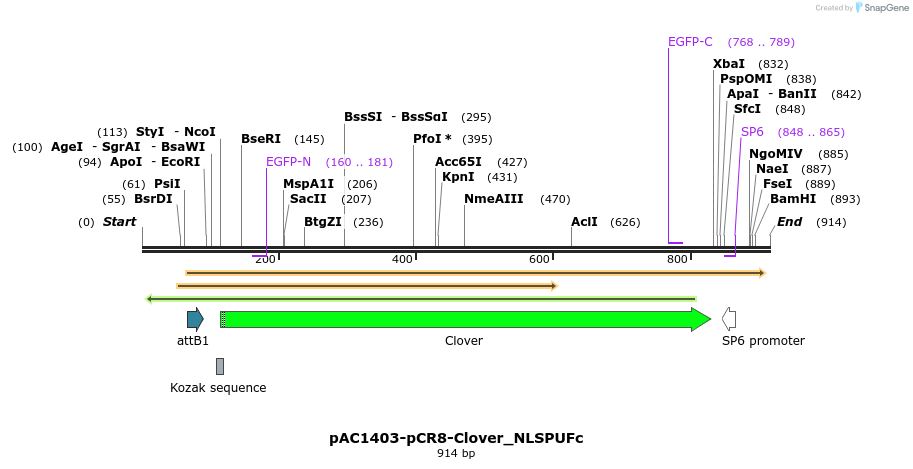 136905_map