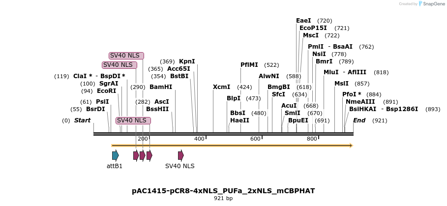136907_map
