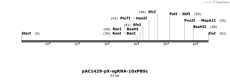 136912_map