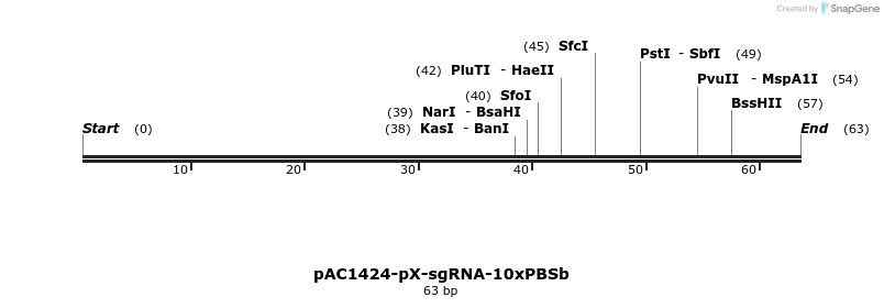 136916_map