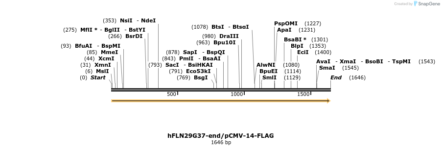 136917_map