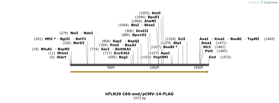 136918_map