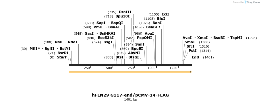 136919_map