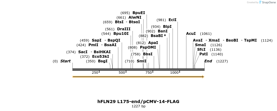136920_map