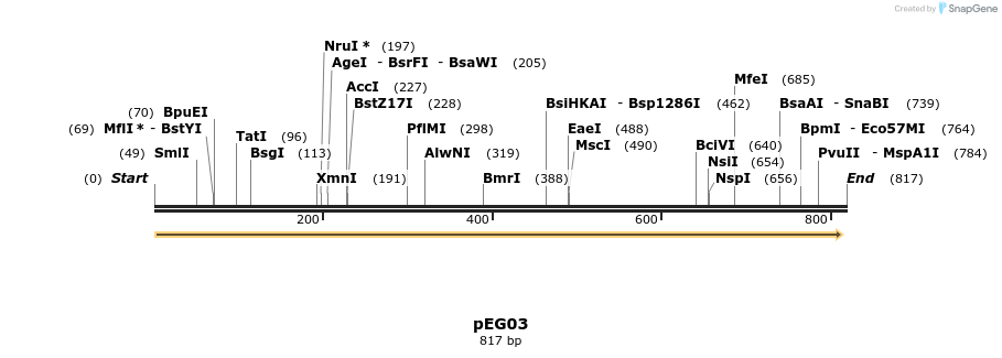 136939_map
