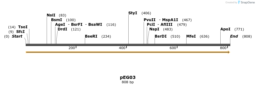 136940_map