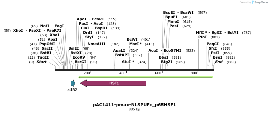 136941_map