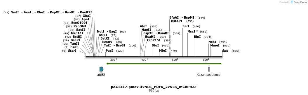 136942_map