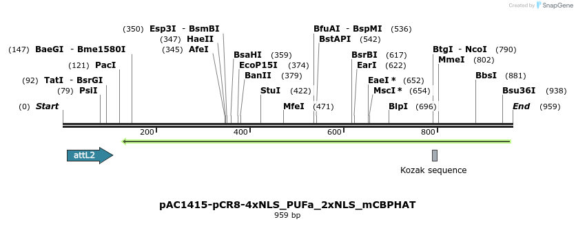 136944_map