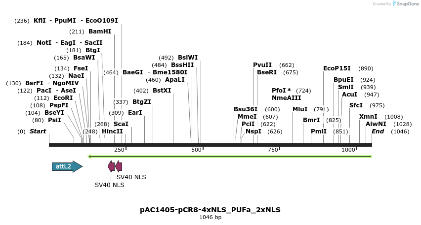 136946_map