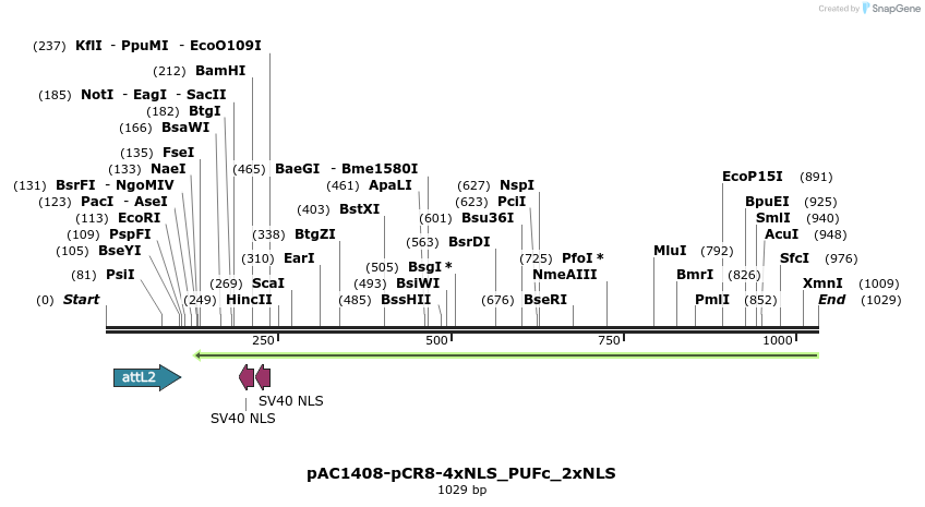 136948_map