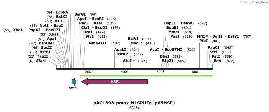 136954_map
