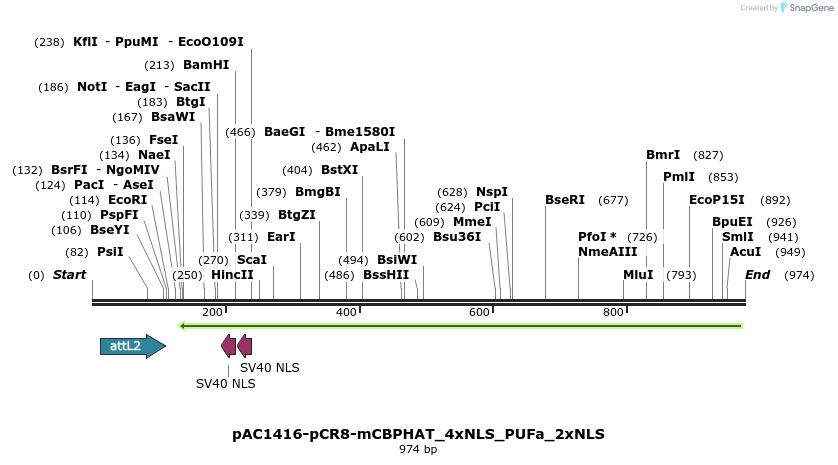 136955_map