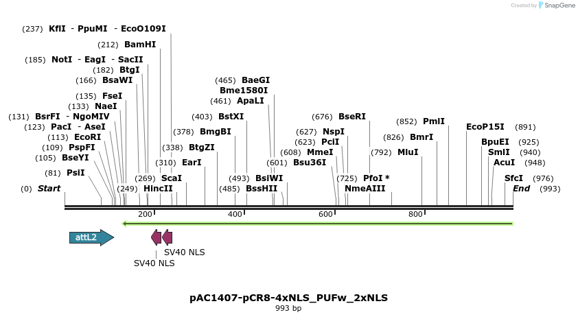 136958_map